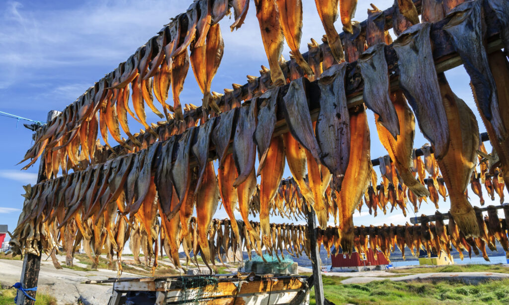 Dried,Fish,In,Rodebay,Settlement,,Greenland,-,Drying,Is,A