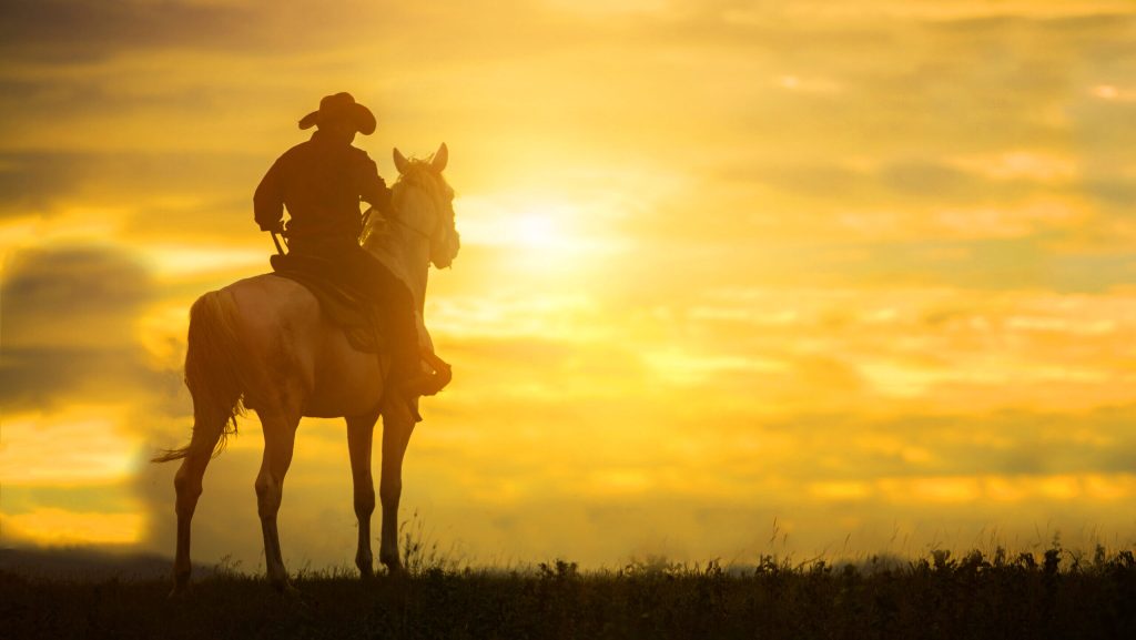 Silhouette,Cowboy,On,Horseback.,Ranch