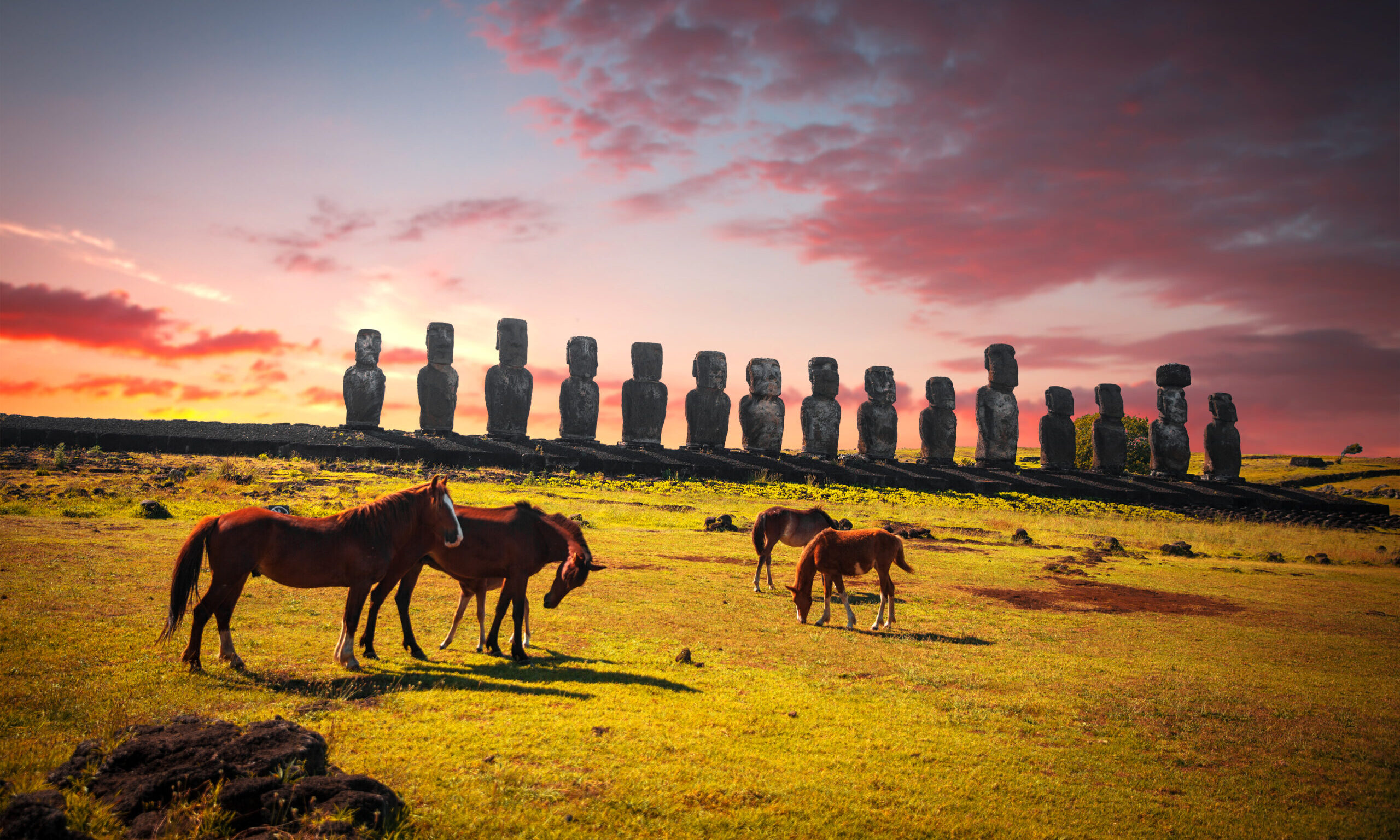 Horse,On,Easter,Island,At,Sunset,Walk,Around,Statues